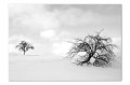 Winter sw M 02